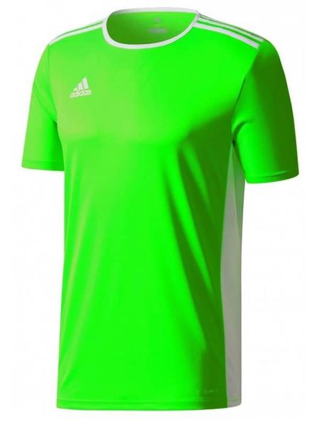 Crítico alabanza Muy enojado Camiseta Adidas Verde