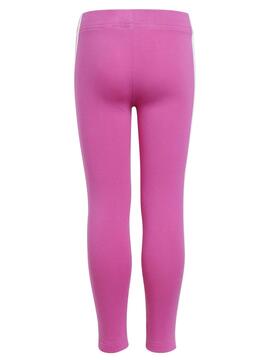 Chandal Adidas Algodon Fusia Niña