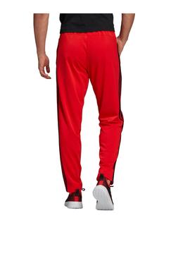 Pantalon Adidas Rojo
