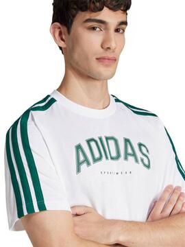 Camiseta Adidas College M Blanco/Verde